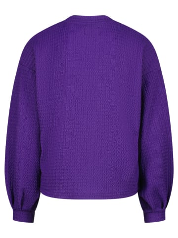 RAIZZED® Sweatshirt in Violett