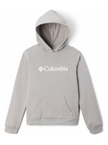 Columbia Hoodie grijs