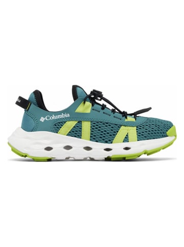 Columbia Sneakersy w kolorze zielonym