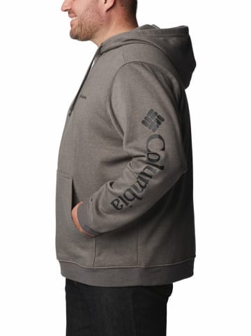 Columbia Hoodie "Columbia Trek™" grijs