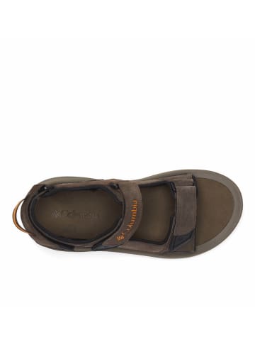 Columbia Leren wandelsandalen "Trailstorm™ Hiker 3" bruin