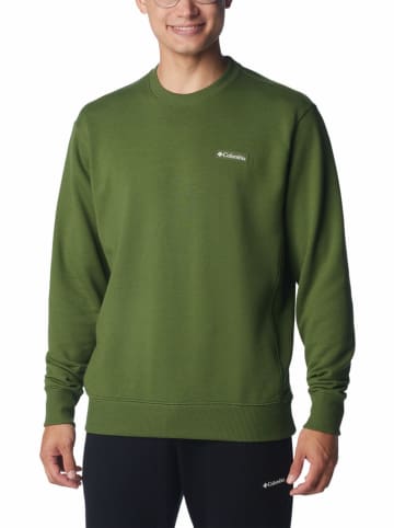 Columbia Sweatshirt "Marble Canyon™" in Grün