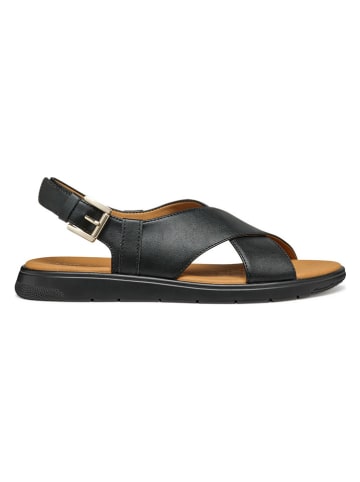 Geox Sandalen in Schwarz