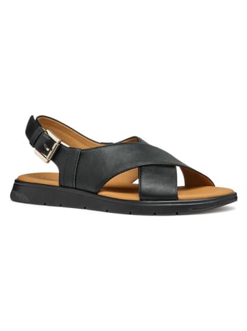 Geox Sandalen in Schwarz