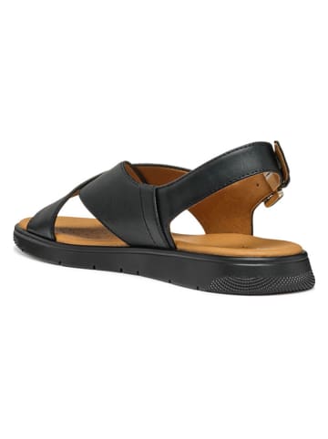 Geox Sandalen in Schwarz