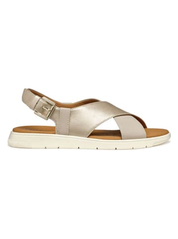 Geox Sandalen goudkleurig
