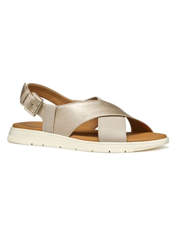 Geox Sandalen in Gold