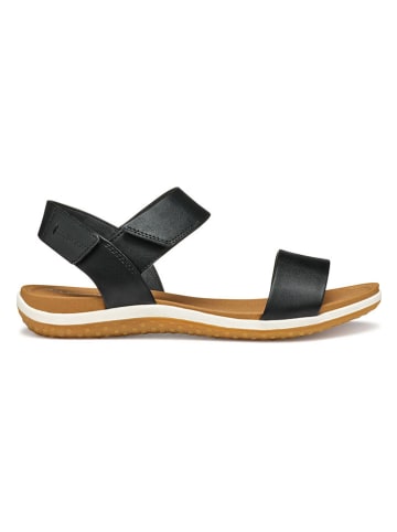 Geox Sandalen in Schwarz