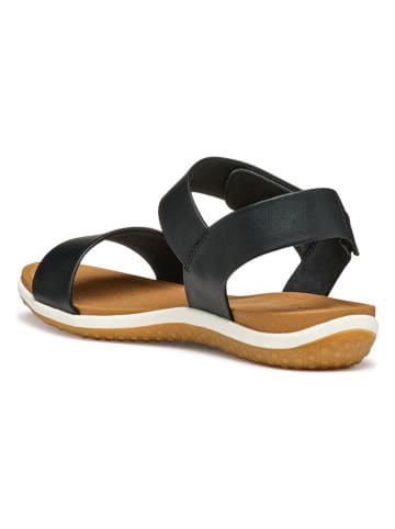 Geox Sandalen in Schwarz