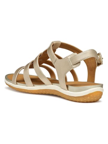 Geox Sandalen goudkleurig