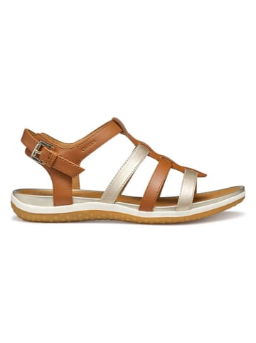 Geox Sandalen lichtbruin/goudkleurig