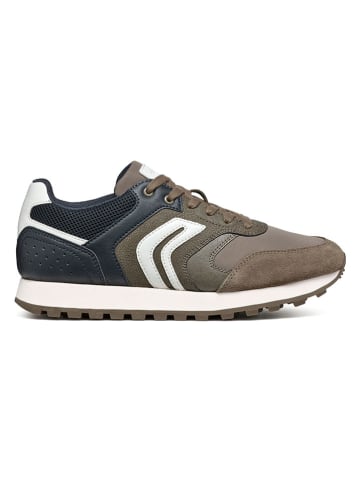 Geox Sneakers in Taupe/ Dunkelblau