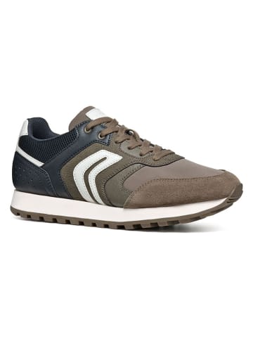 Geox Sneakers in Taupe/ Dunkelblau