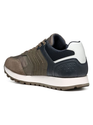 Geox Sneakers in Taupe/ Dunkelblau