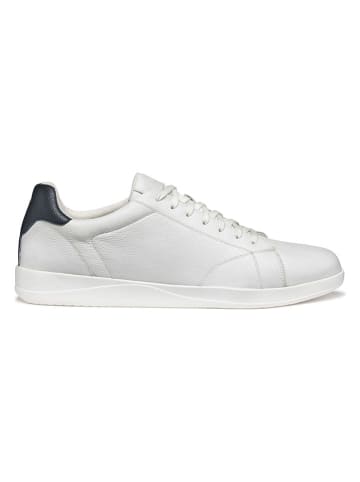 Geox Leder-Sneakers in Weiß