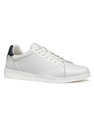 Geox Leren sneakers wit