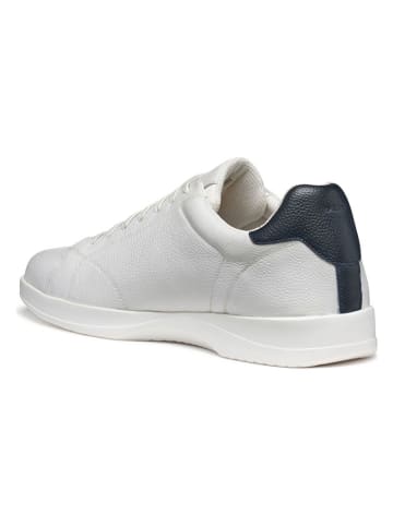 Geox Leren sneakers wit