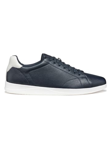 Geox Leder-Sneakers in Dunkelblau