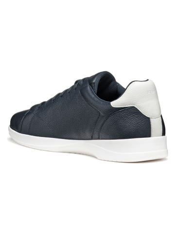 Geox Leder-Sneakers in Dunkelblau