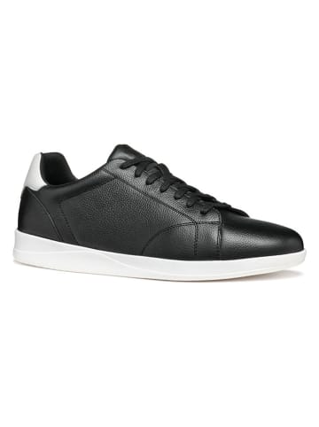 Geox Leder-Sneakers in Schwarz