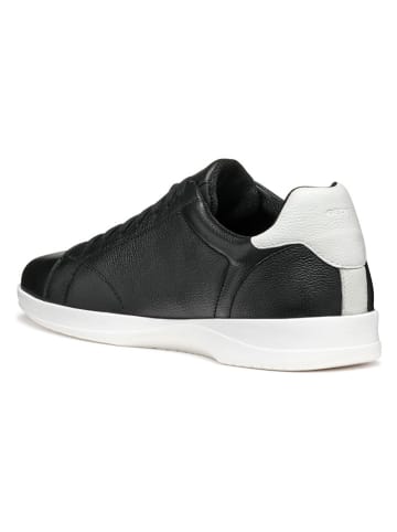 Geox Leder-Sneakers in Schwarz