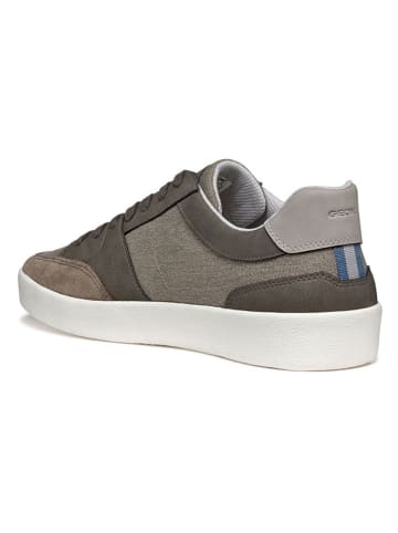 Geox Sneakers beige