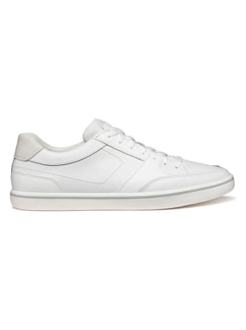 Geox Leder-Sneakers  in Weiß