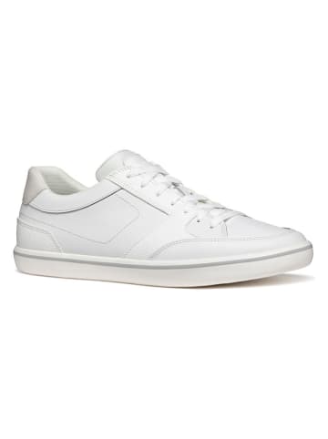 Geox Leder-Sneakers  in Weiß