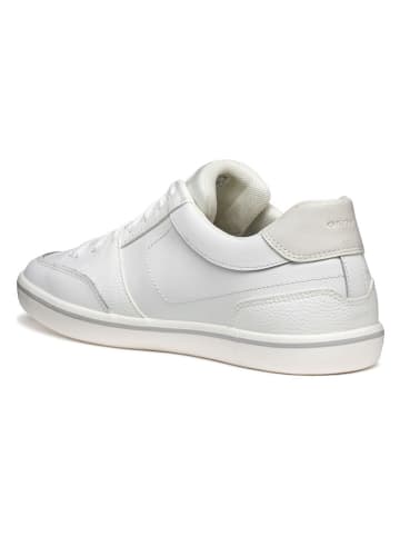 Geox Leren sneakers wit