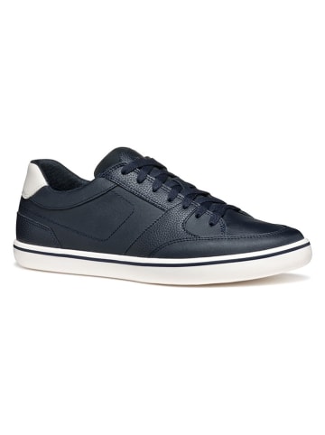 Geox Leder-Sneakers  in Dunkelblau
