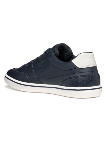 Geox Leder-Sneakers  in Dunkelblau