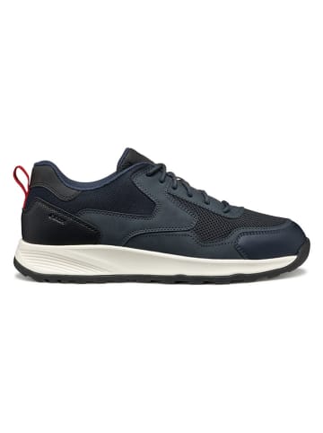 Geox Sneakers in Dunkelblau