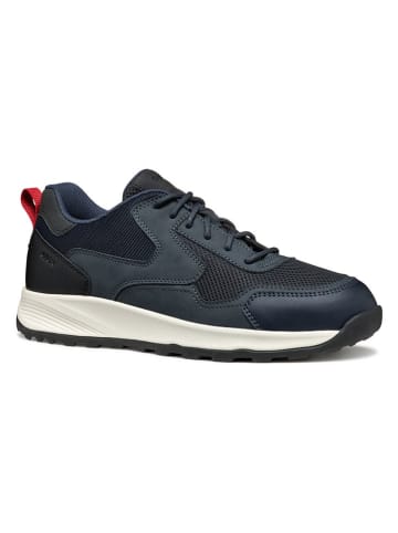 Geox Sneakers in Dunkelblau