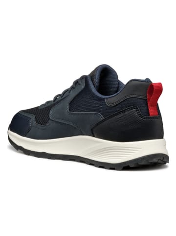 Geox Sneakers in Dunkelblau