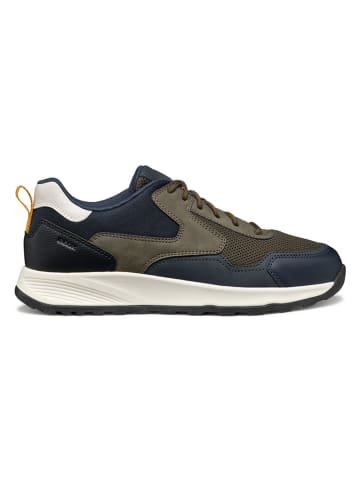 Geox Sneakers donkerblauw/kaki