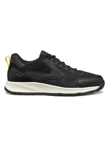 Geox Sneakers  in Schwarz