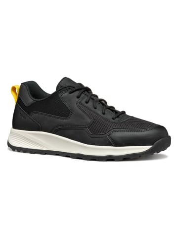 Geox Sneakers zwart