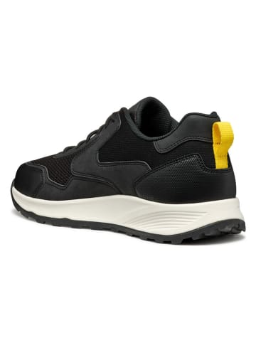 Geox Sneakers zwart