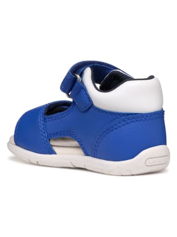 Geox Sandalen "Tapuz" blauw