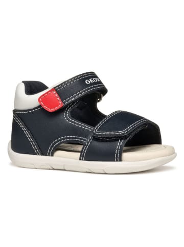 Geox Sandalen "Tapuz" donkerblauw