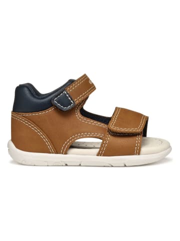 Geox Sandalen "Tapuz" in Hellbraun/ Dunkelblau
