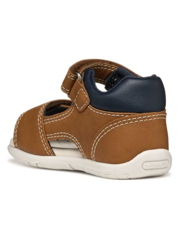 Geox Sandalen "Tapuz" lichtbruin/donkerblauw
