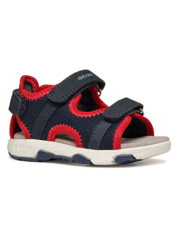Geox Sandalen "Multy" in Dunkelblau/ Rot