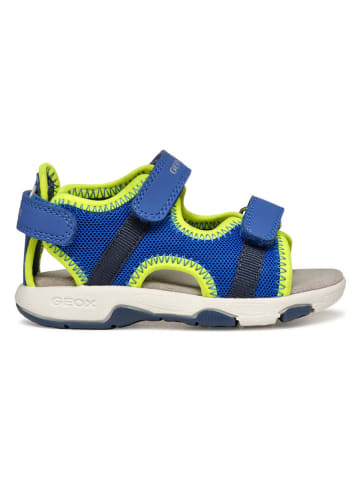 Geox Sandalen "Multy" blauw/geel