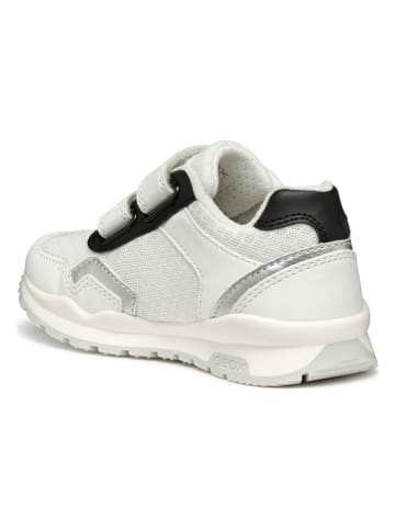 Geox Sneakersy "Pavel" w kolorze biało-czarnym