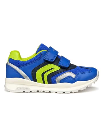 Geox Sneakers "Pavel" in Blau/ Grün