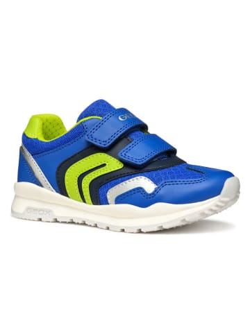 Geox Sneakers "Pavel" in Blau/ Grün