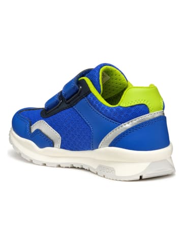 Geox Sneakersy "Pavel" w kolorze niebiesko-zielonym