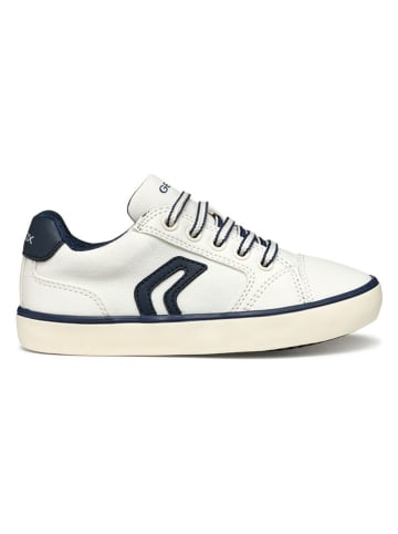 Geox Sneakers "Gisli" in Weiß/ Schwarz