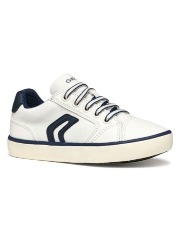 Geox Sneakers "Gisli" in Weiß/ Schwarz